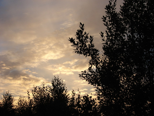 29496 (a): :1024x768